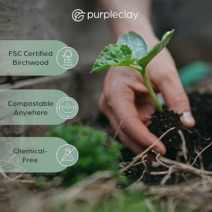 Wooden Disposable Forks - 300 Piece Wood Compostable Forks - Eco-Friendly Biodegradable Utensils for Party - Free From Plastic Cutlery Set - Disposable Cutlery Fork for Eating - Compostable Utensils