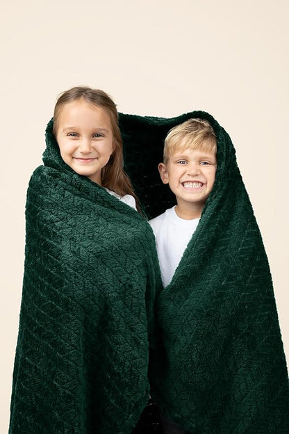 EverSnug Premium Travel Blanket Pillow - Soft 2 in 1 Airplane Blanket with Soft Bag Pillowcase, Hand Luggage Sleeve and Backpack Clip (Forest Green)