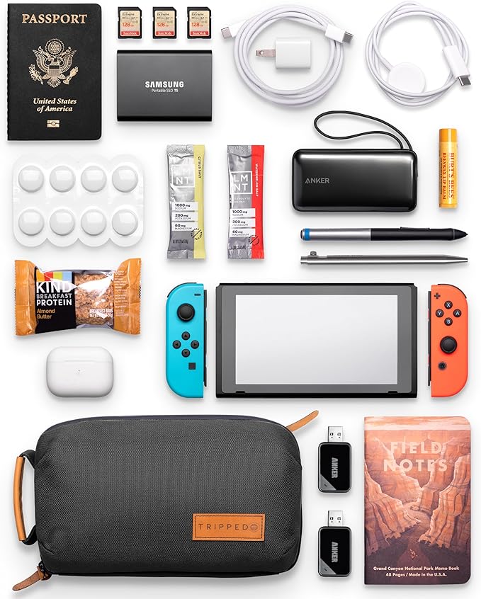 Tech Bag Organizer - Small Electronics Organizer Pouch for Travel - Premium Travel Case with Leather Accents - Mesh Pocket for Cables, Cords and Chargers (Black)