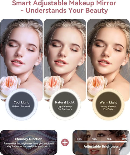 JUSRON Travel Makeup Bag With LED Mirror, Train Case with Light up Mirror, Portable Makeup Artist Organizer Bag with Adjustable Dividers, Makeup Brush Holder Storage (Pink, Large)