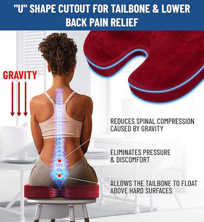 Everlasting Comfort Doctor Recommended Memory Foam Seat Cushion for Office Chairs & Car - Ergonomic Office Desk Accessories - Cushions for Tailbone Pain Relief, Sciatica & Back Support Pillow