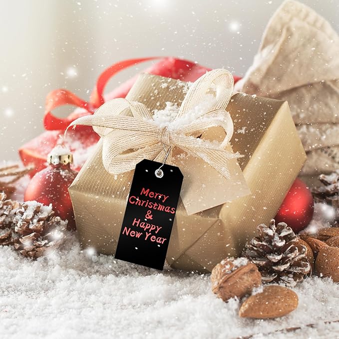 1000 Pieces Plastic Shipping Tags with Wire Labeling Tags Waterproof Hang Tags with Reinforcement Hole Writable Luggage tag Loops for Equipment Inventory Parts Garage (Black, 4 3/4" x 2 3/8")