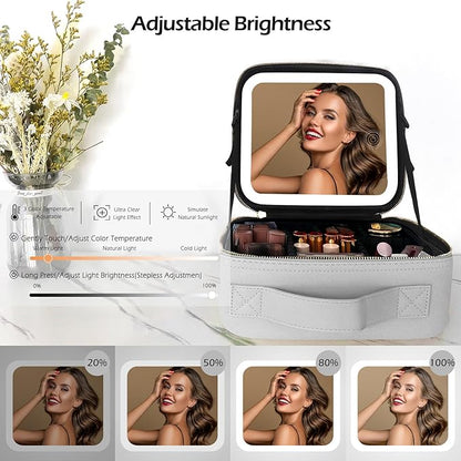 MOMIRA Makeup Bag with Mirror and Light Travel Makeup Train Case Cosmetic Bag Organizer Portable Artist Storage Bag with Adjustable Dividers Makeup Brushes Storage Organizer Silver